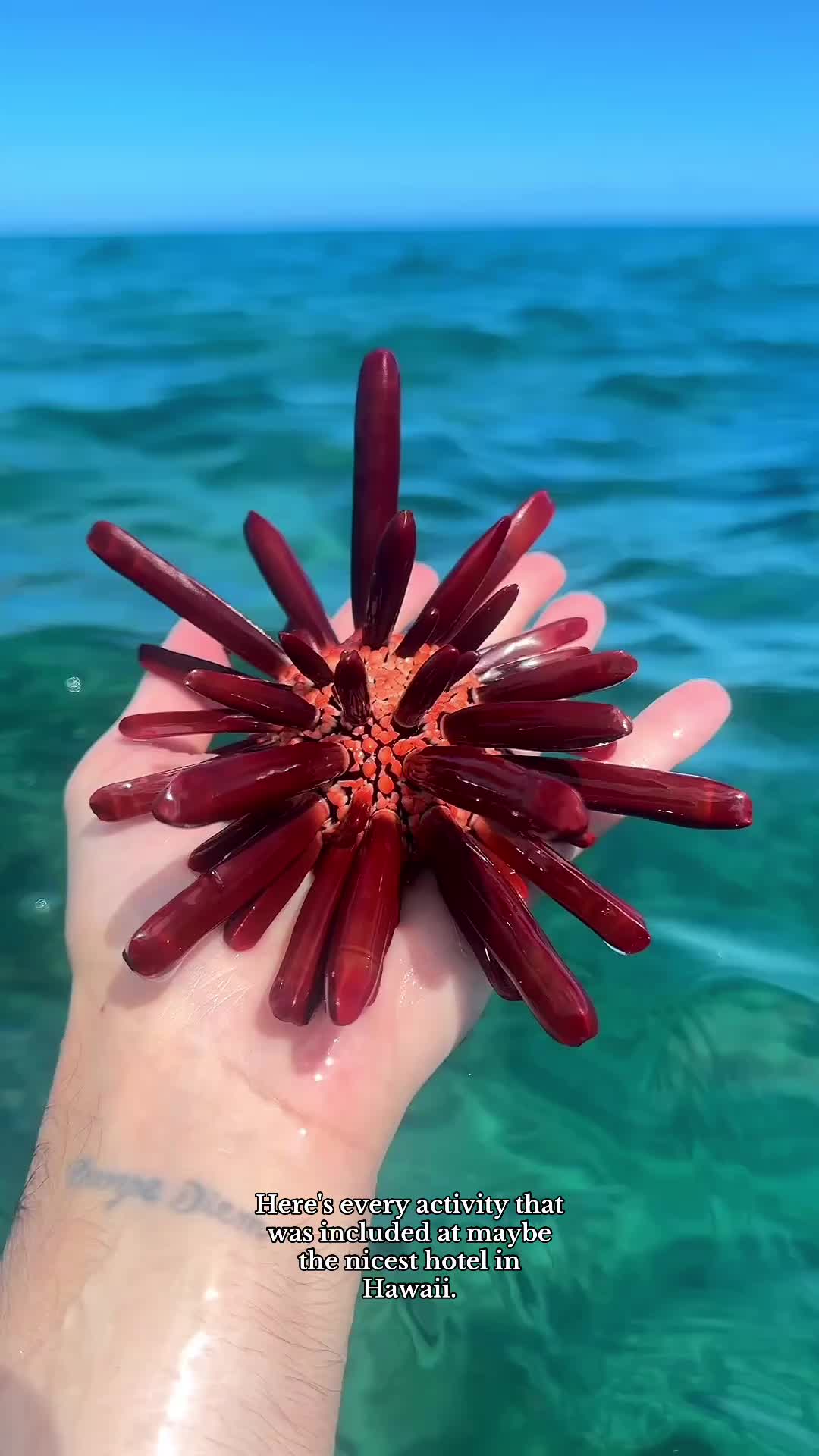 @LUISCARLOSZARA