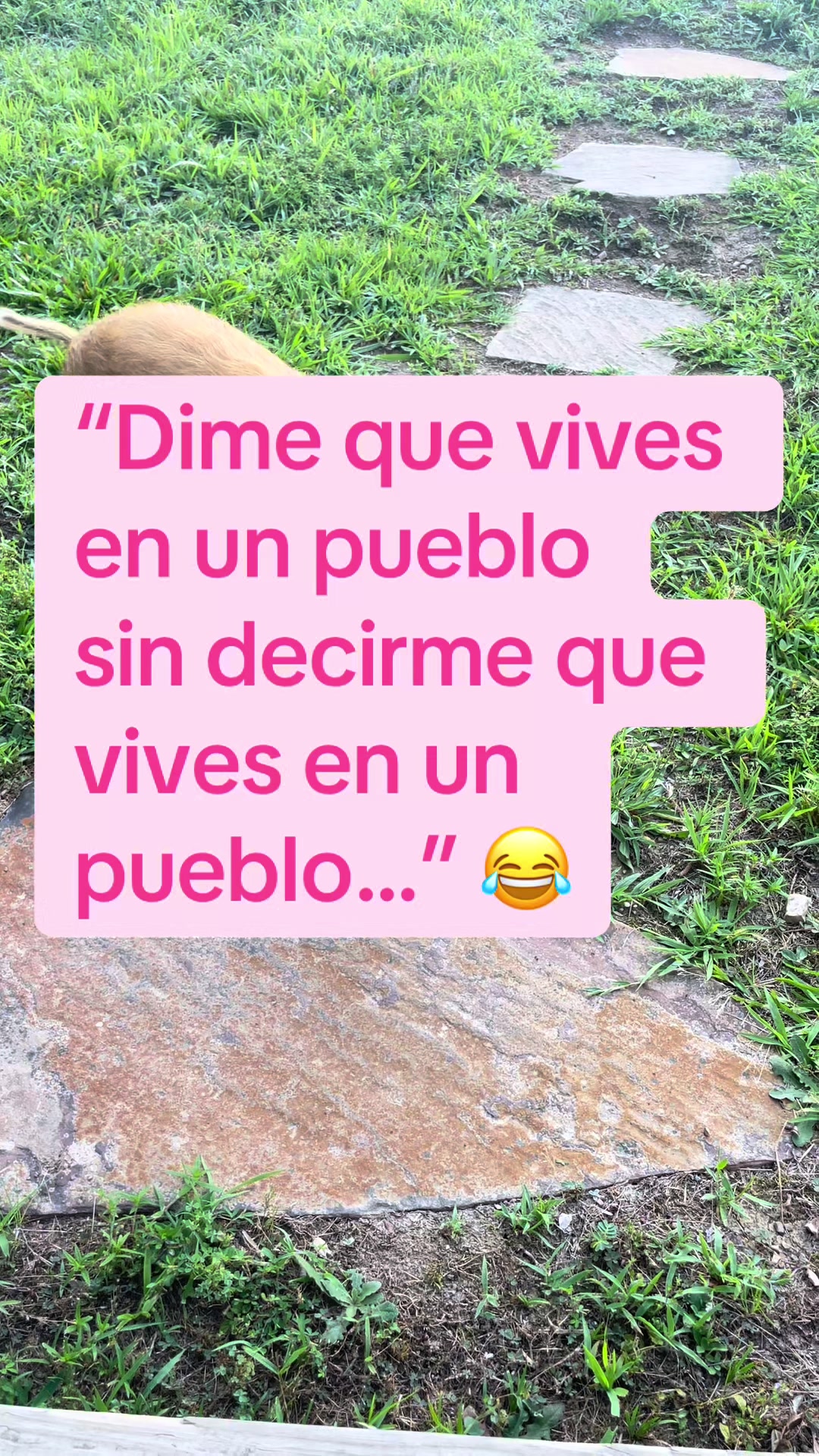 @Veronica&Familia