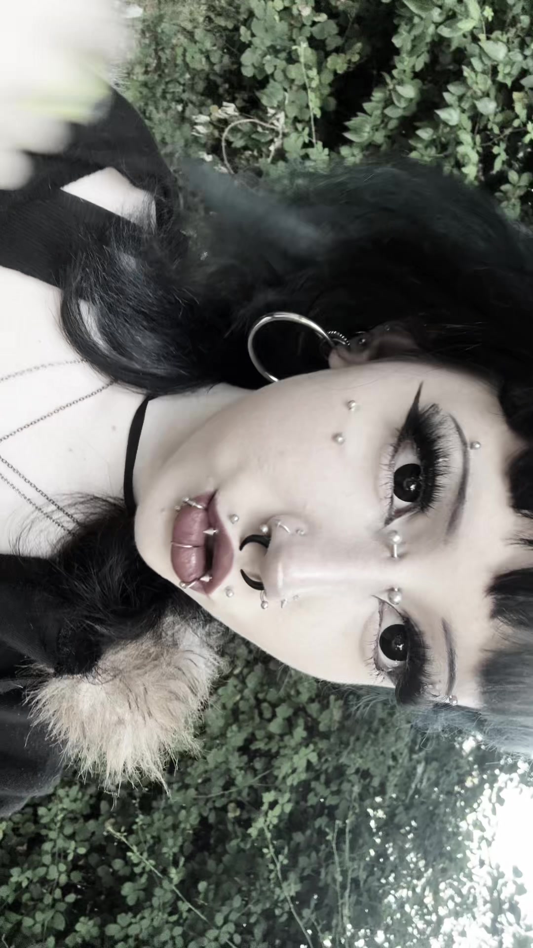 @&uml;༺&bull;𝔪𝔦𝔪𝔦&bull;༻&uml;