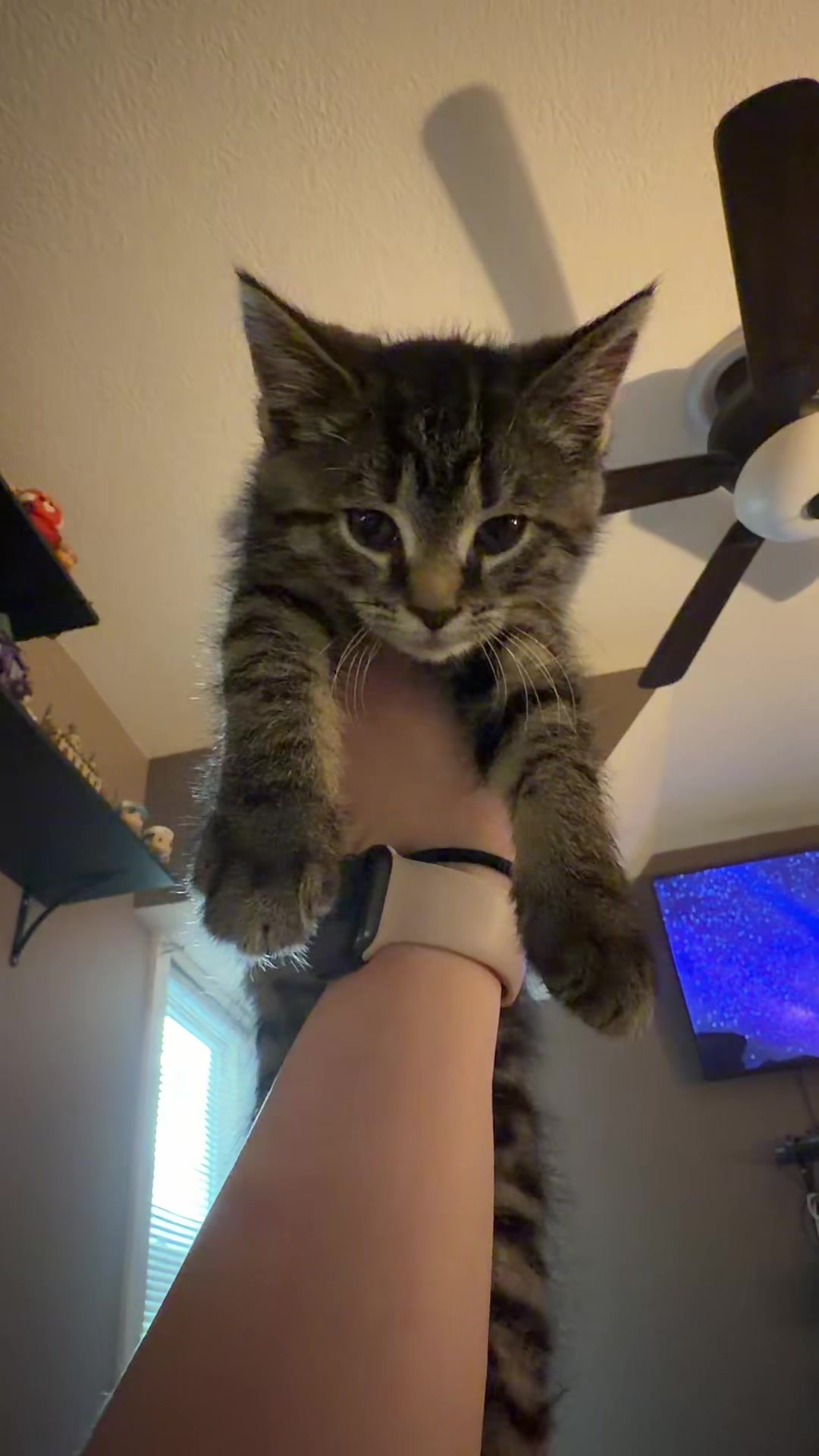 @ǝɐᴚ