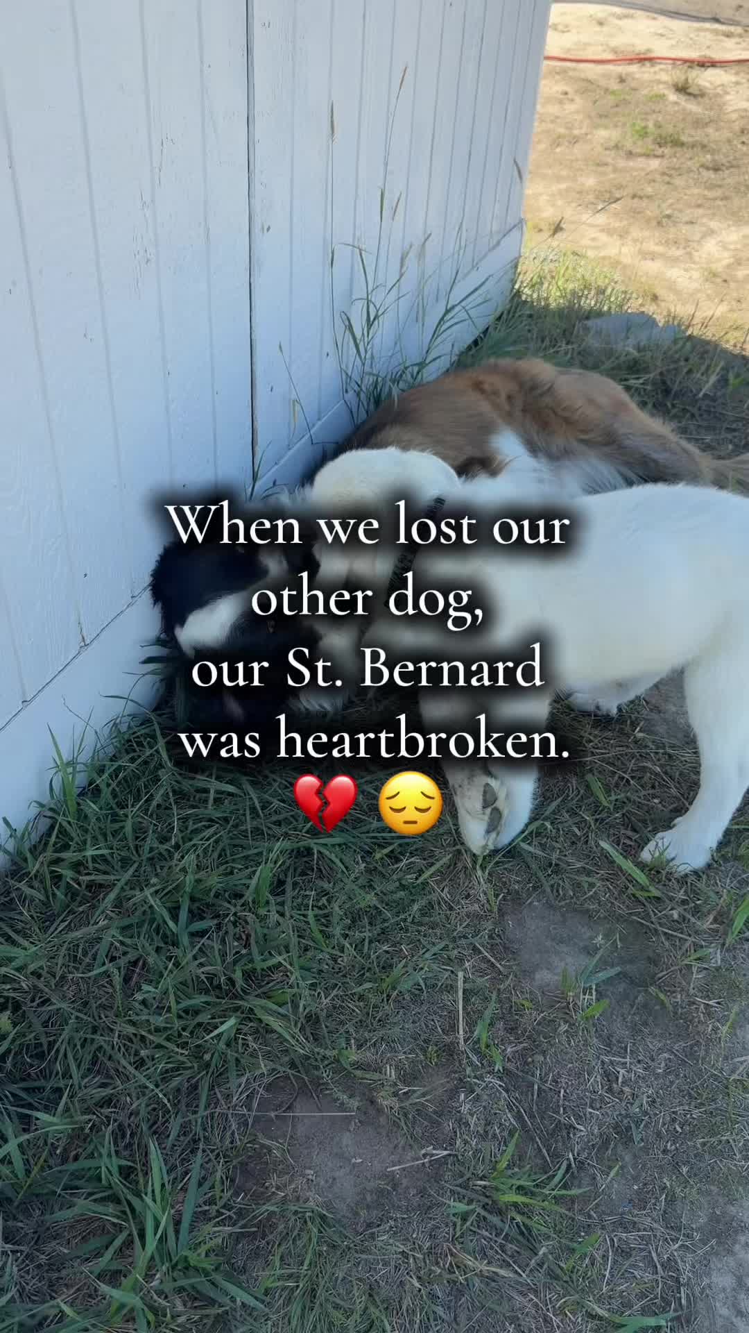 @🌻&dagger;HealthyHearted𝓂♡𝓂𝓂𝒶&dagger;🌻