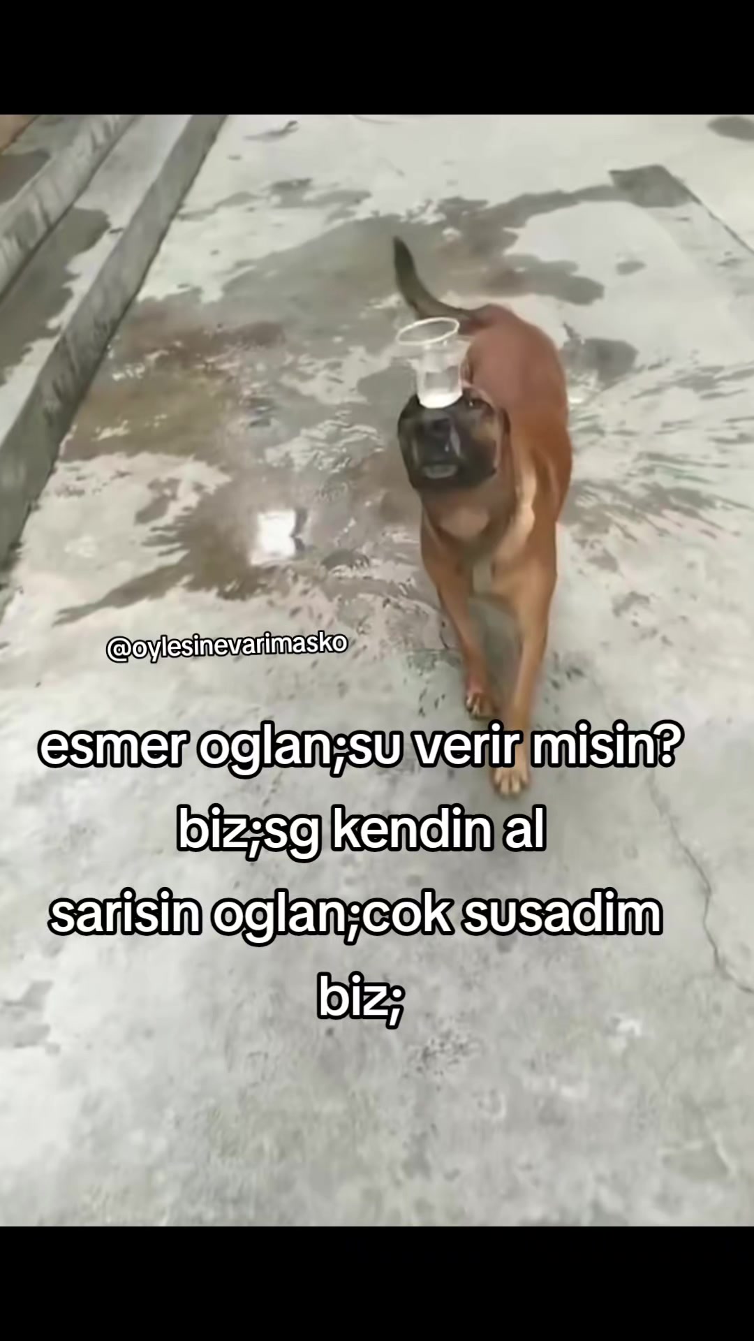 @🇹🇷͜͡✯