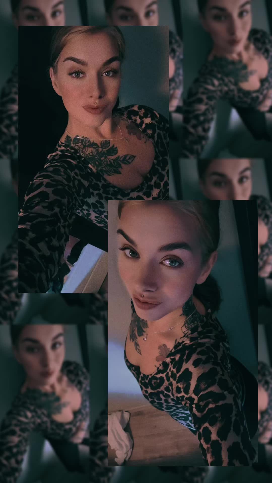 @steffylein17