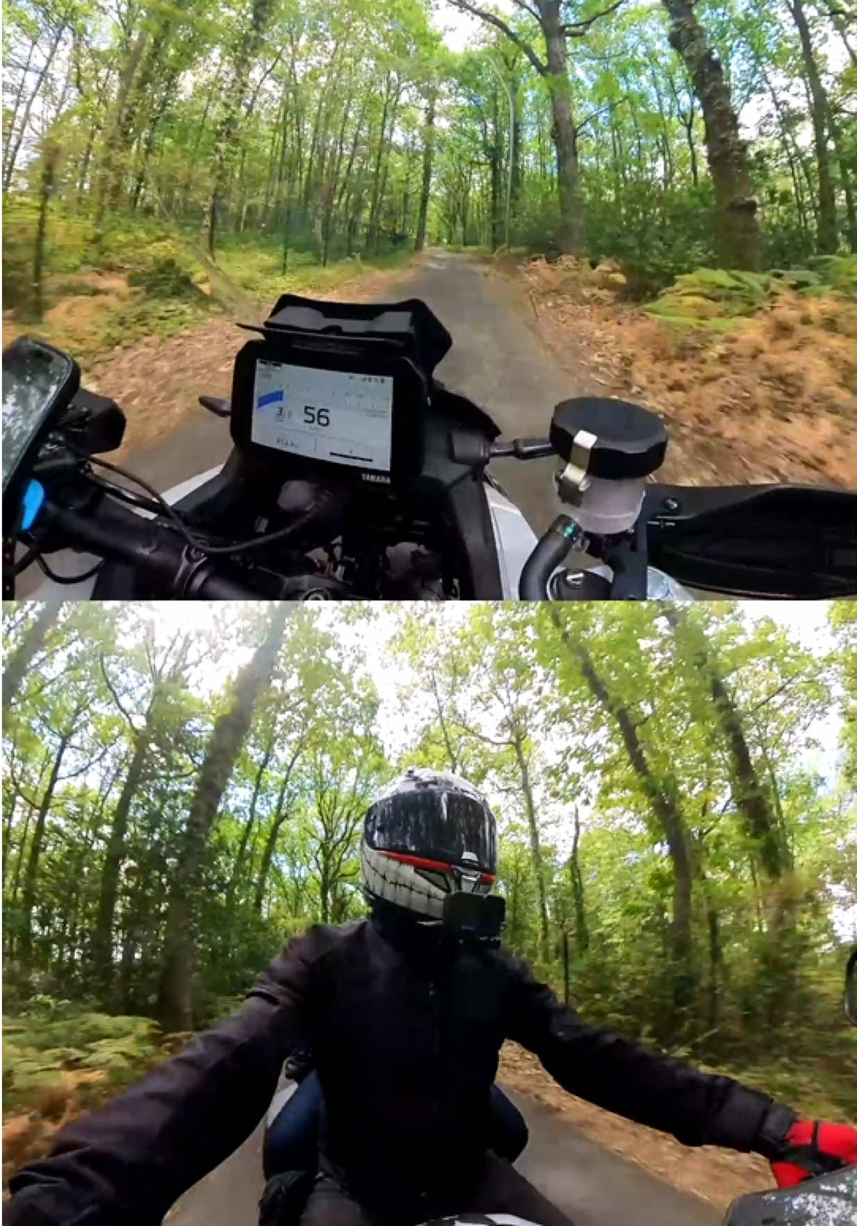 @360 Ride & Travel