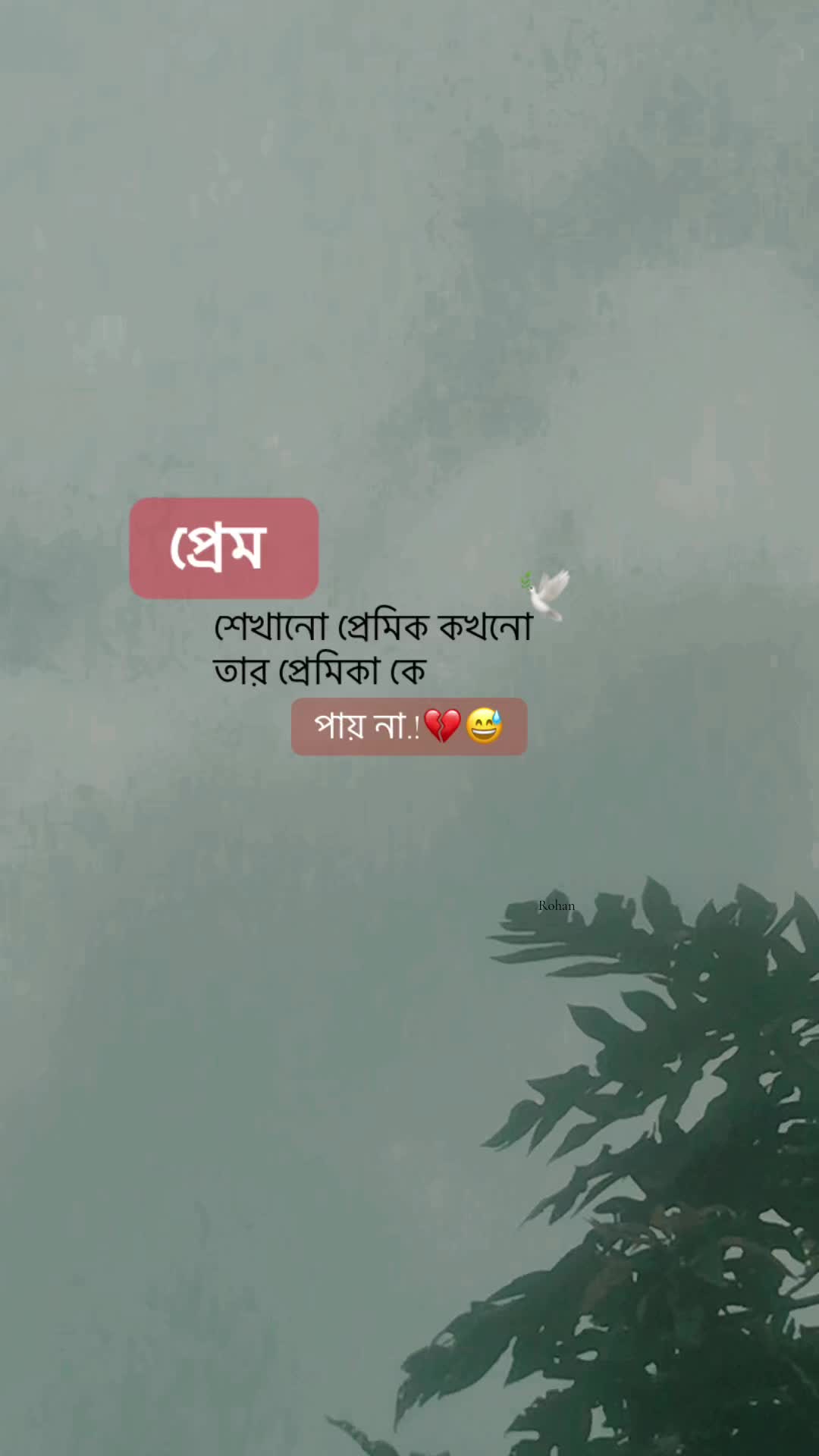 @-বিবাহিত কবি ? 📓