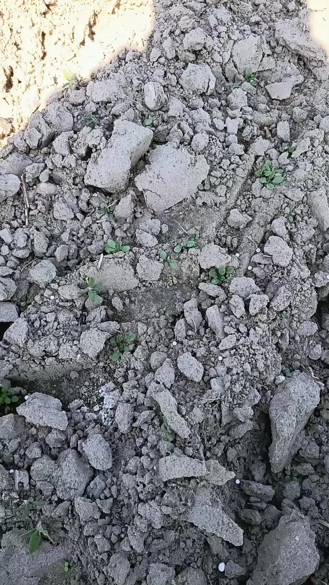 @FarmPmi