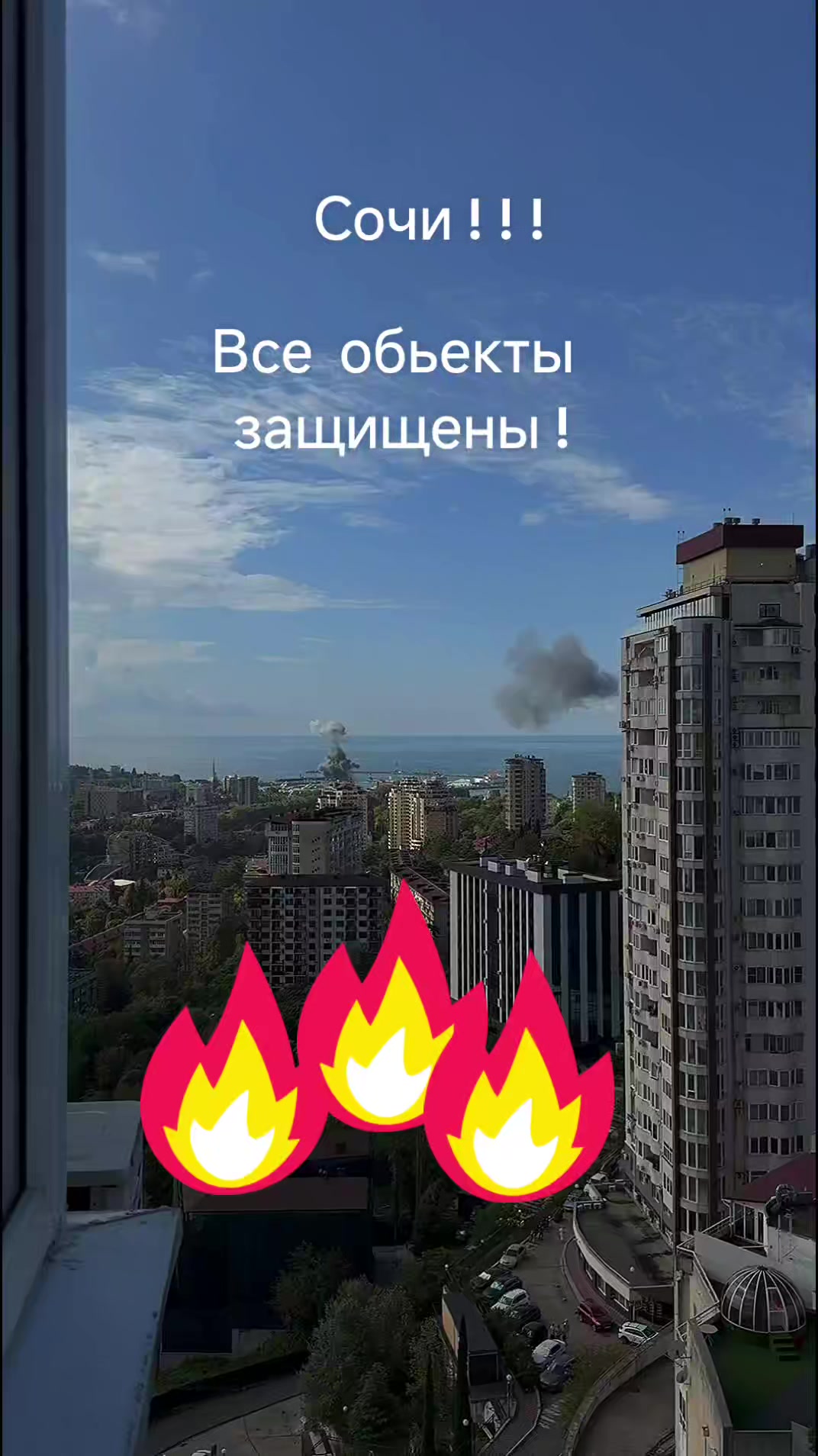 @haliina5