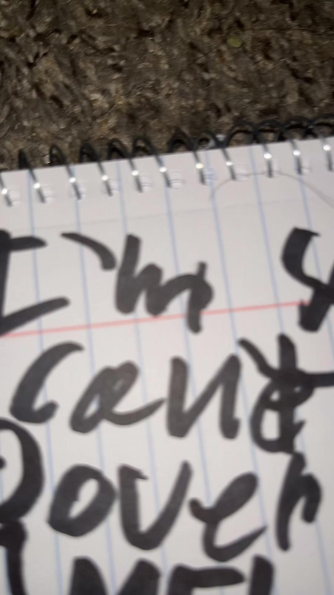 @ꨄ📚ησαн яαηтѕ📚ꨄ