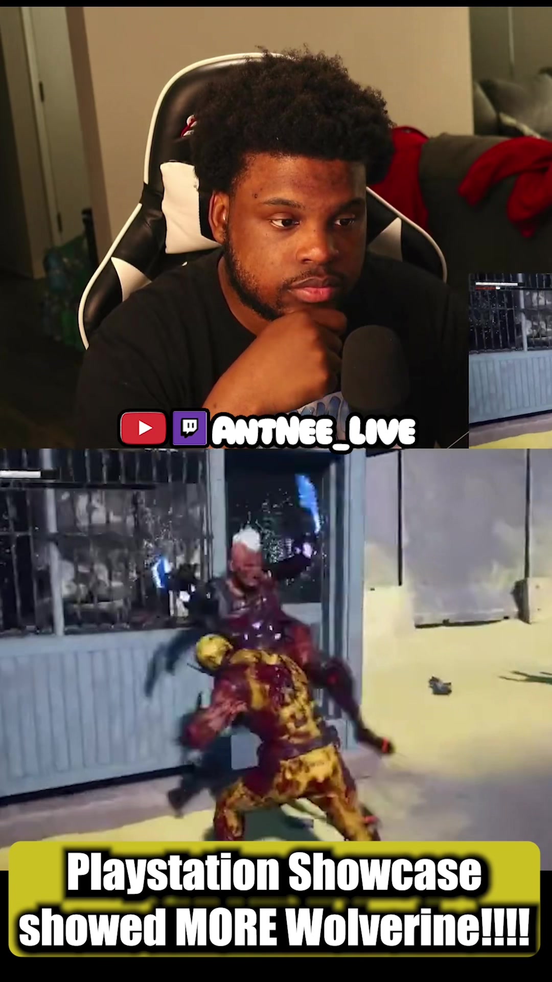 @AntNee Live
