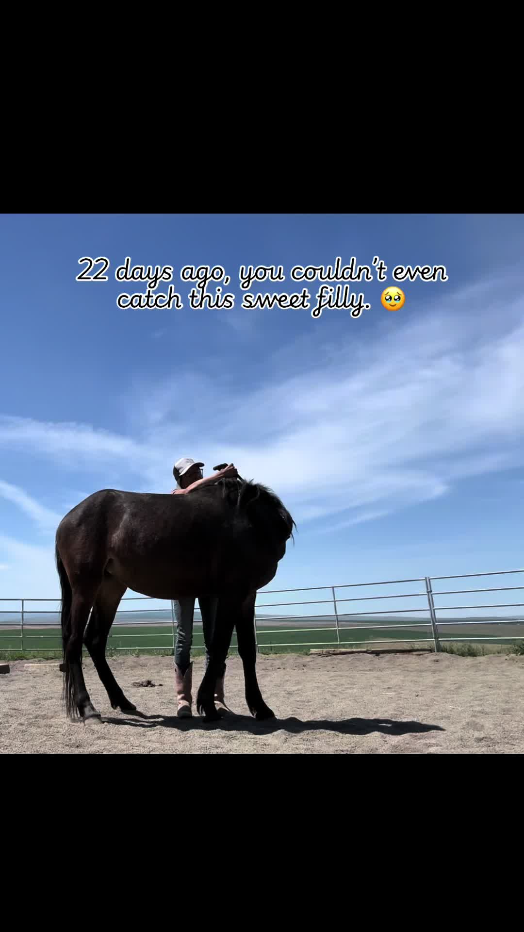 @Cowgirl Tuff Colt Training ❤️