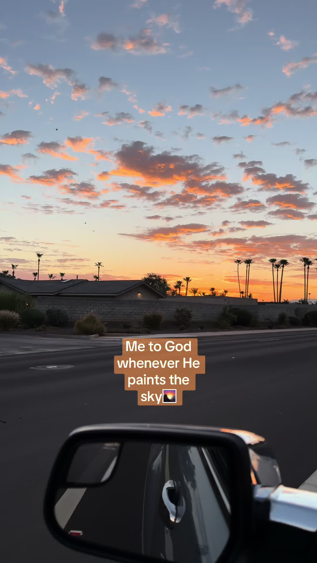 @Emily_vbk1