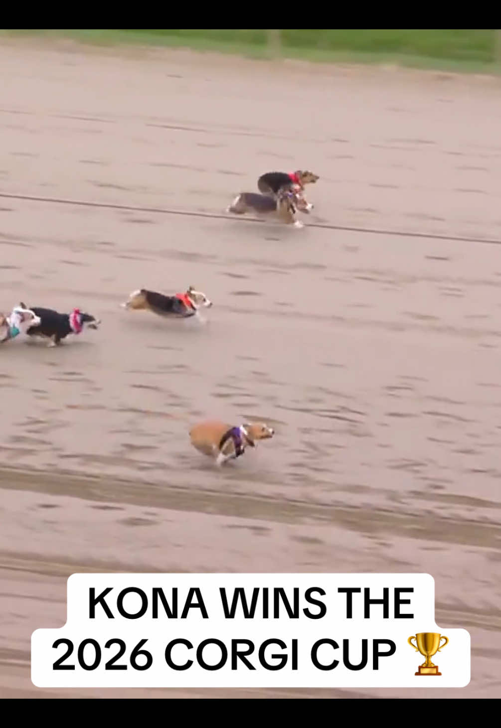 @bleacherreport
