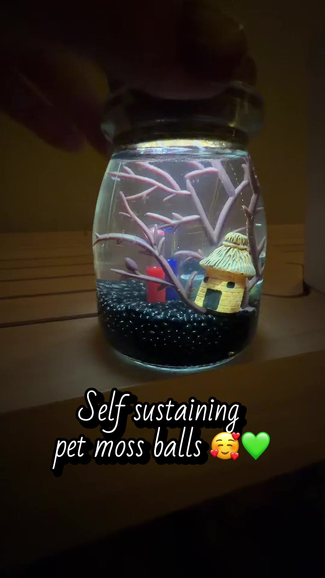 @Kelss✨🍃📚