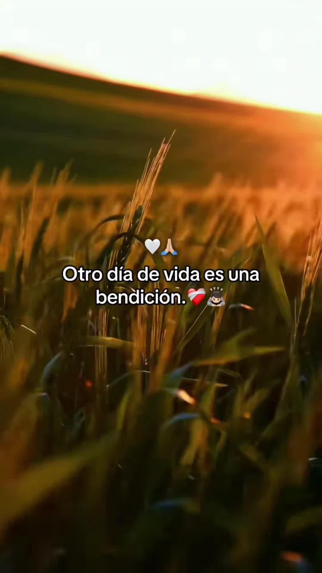 @𝙇𝙪𝙞𝙞502👨🌾