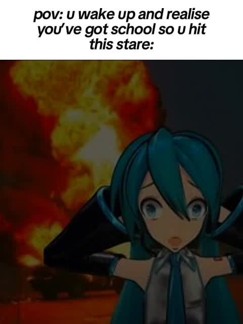 @🌟Star🌟