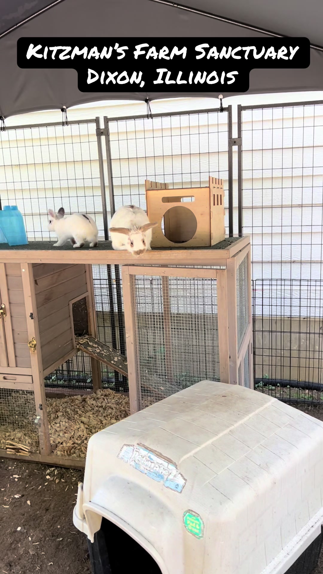 @Kitzman’s Farm Sanctuary