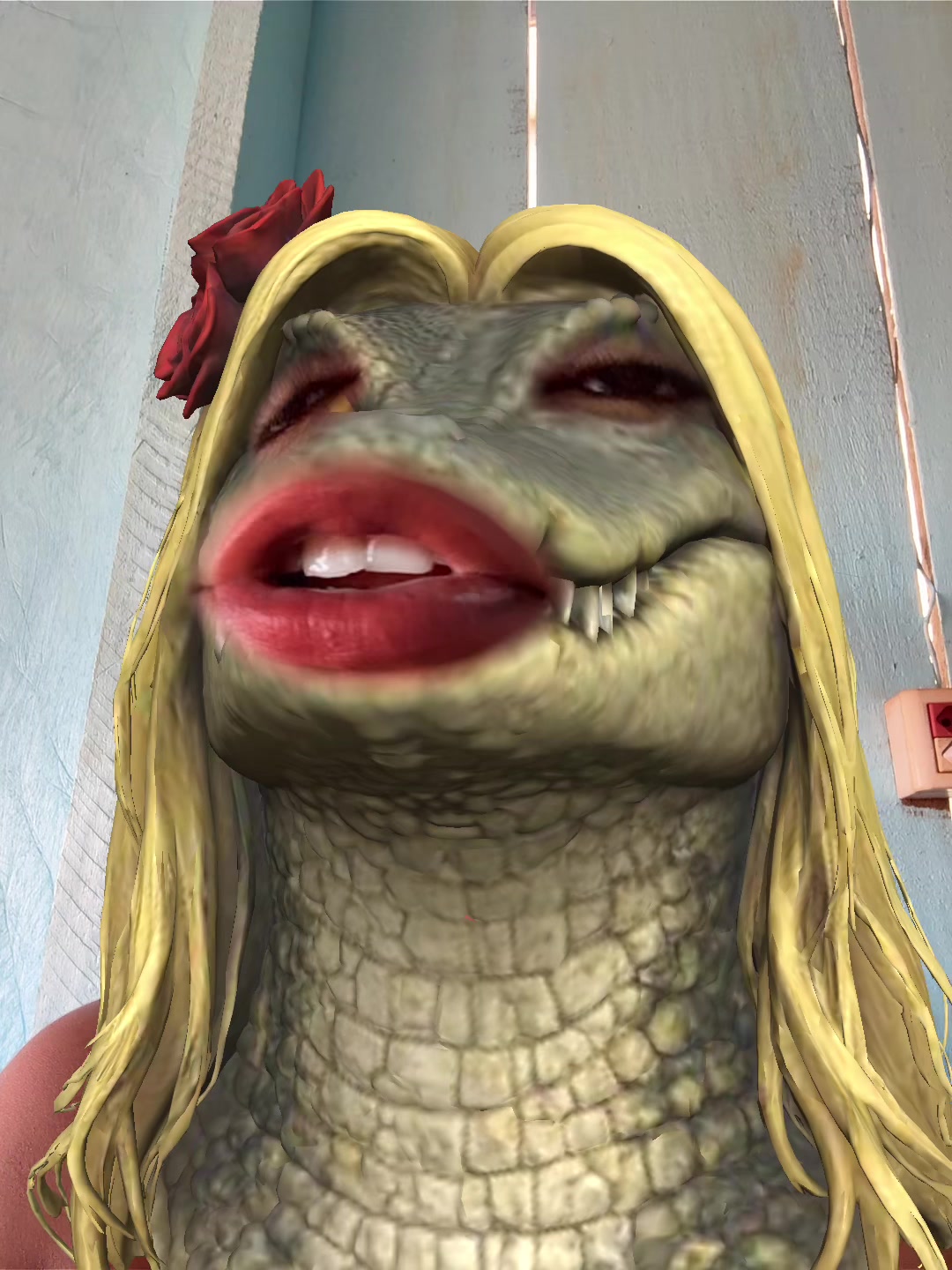 @cuca_da_mata