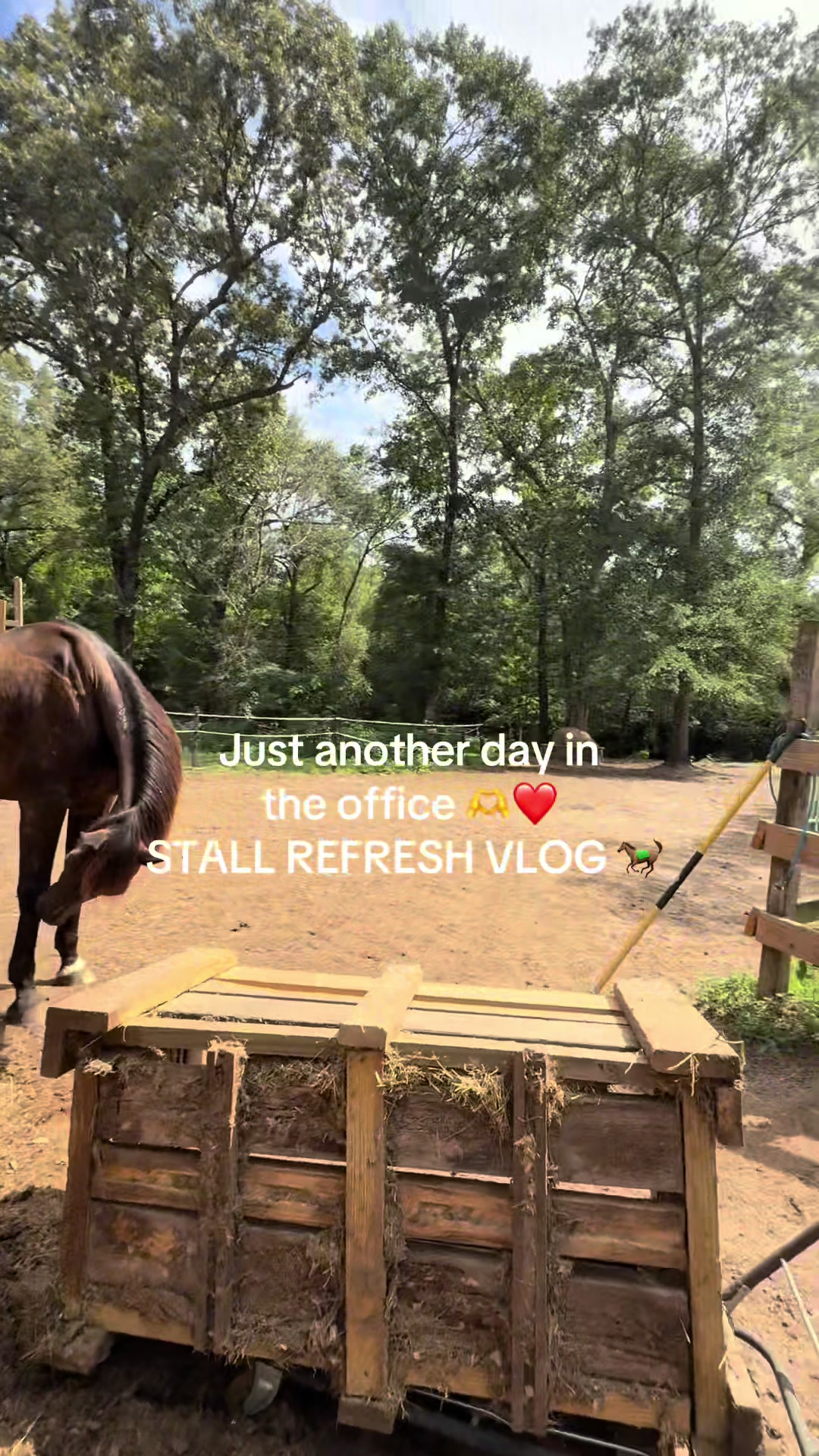 @🐎 Coach CeeJae