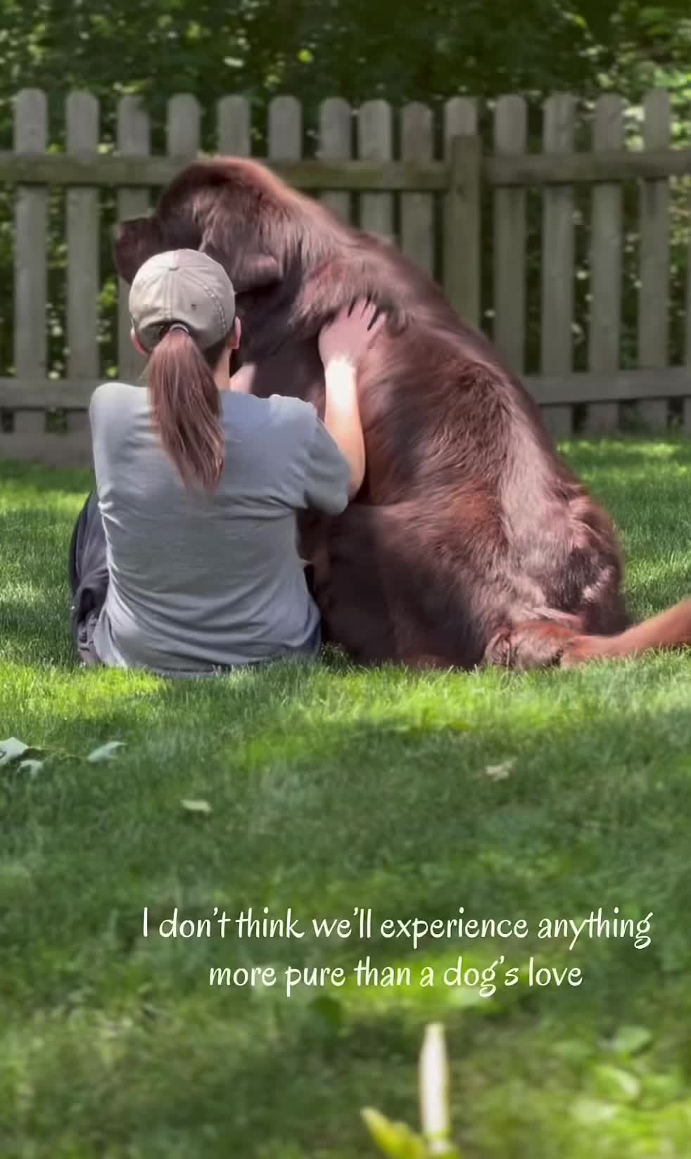@k9fieldguide