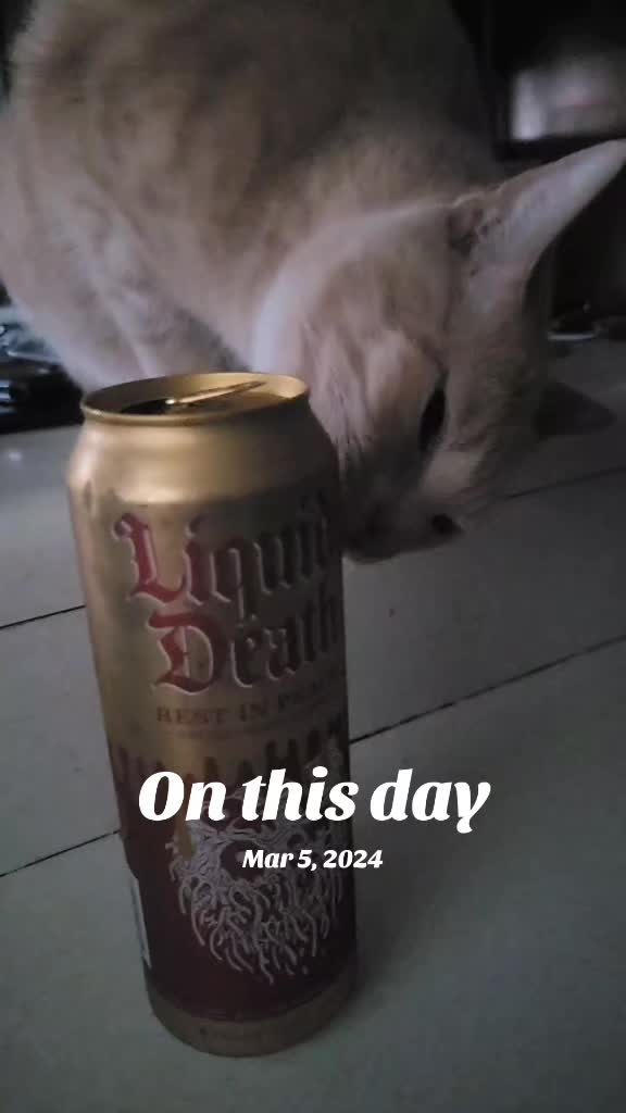 @Asmodaichase67