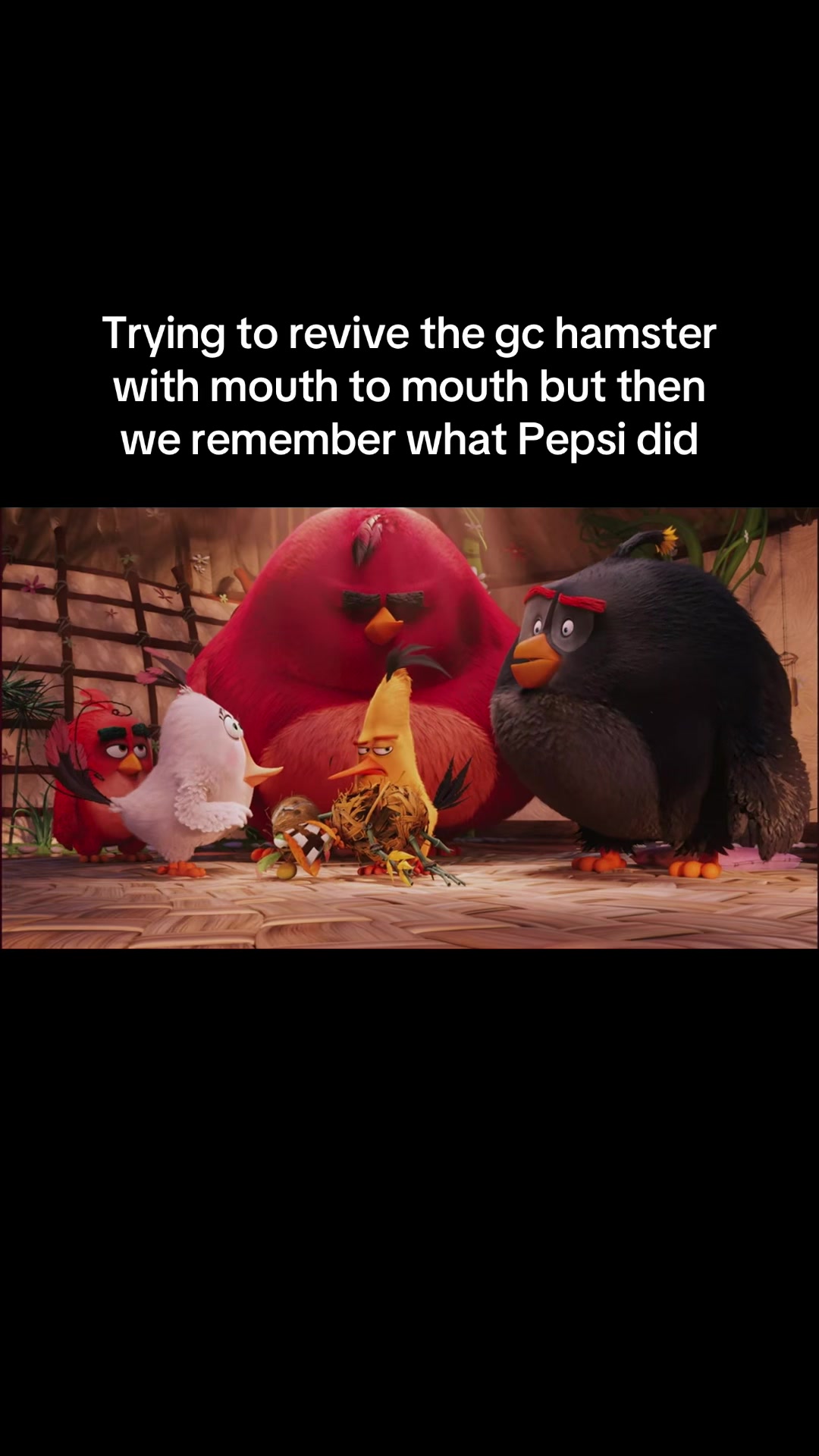 @AngryBirdsMemes