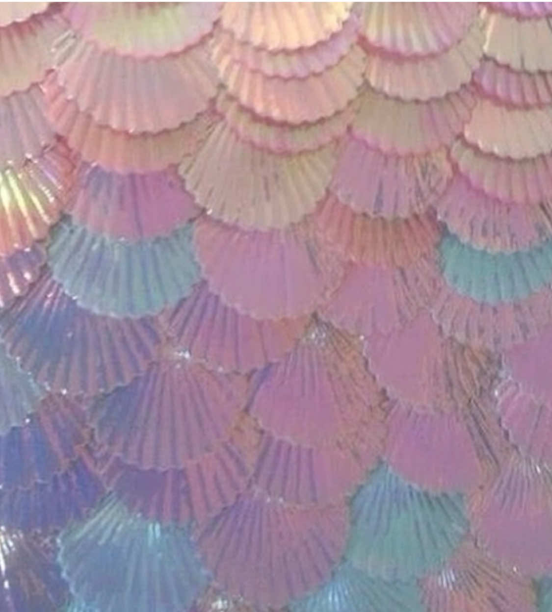 @♡𝑻𝒊𝒍𝒍𝒚₊˚⊹