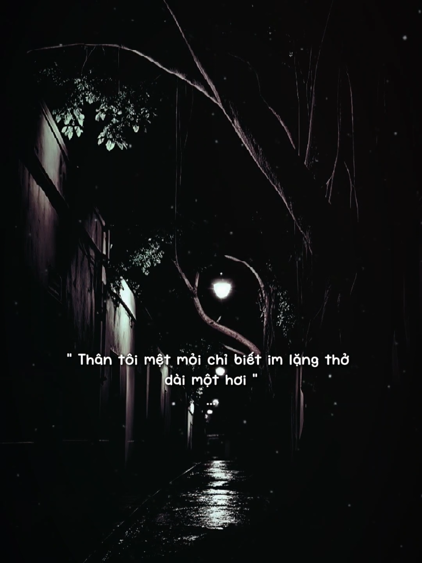 @𝐓𝐫ạ𝐦𝐌𝐮𝐬𝐢𝐜🎧