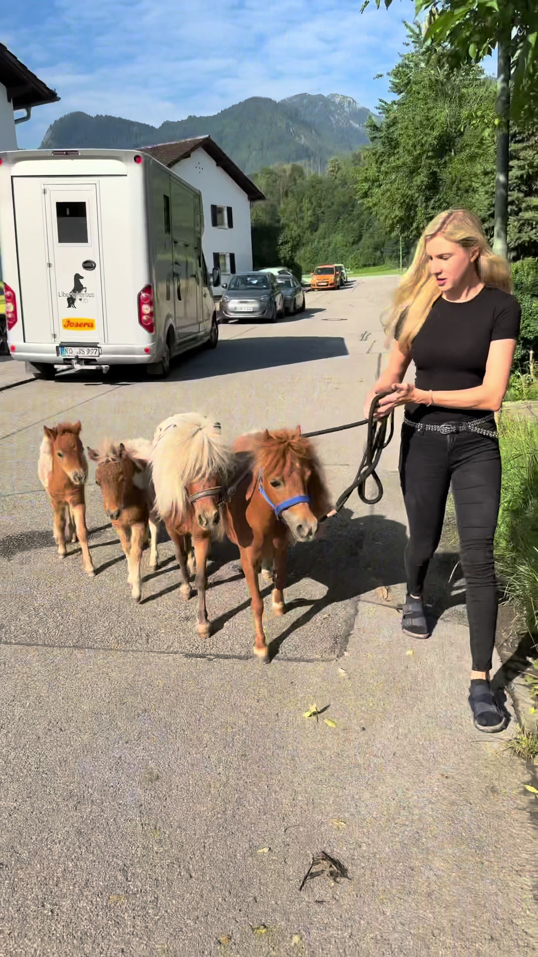 @julia_libertyhorses