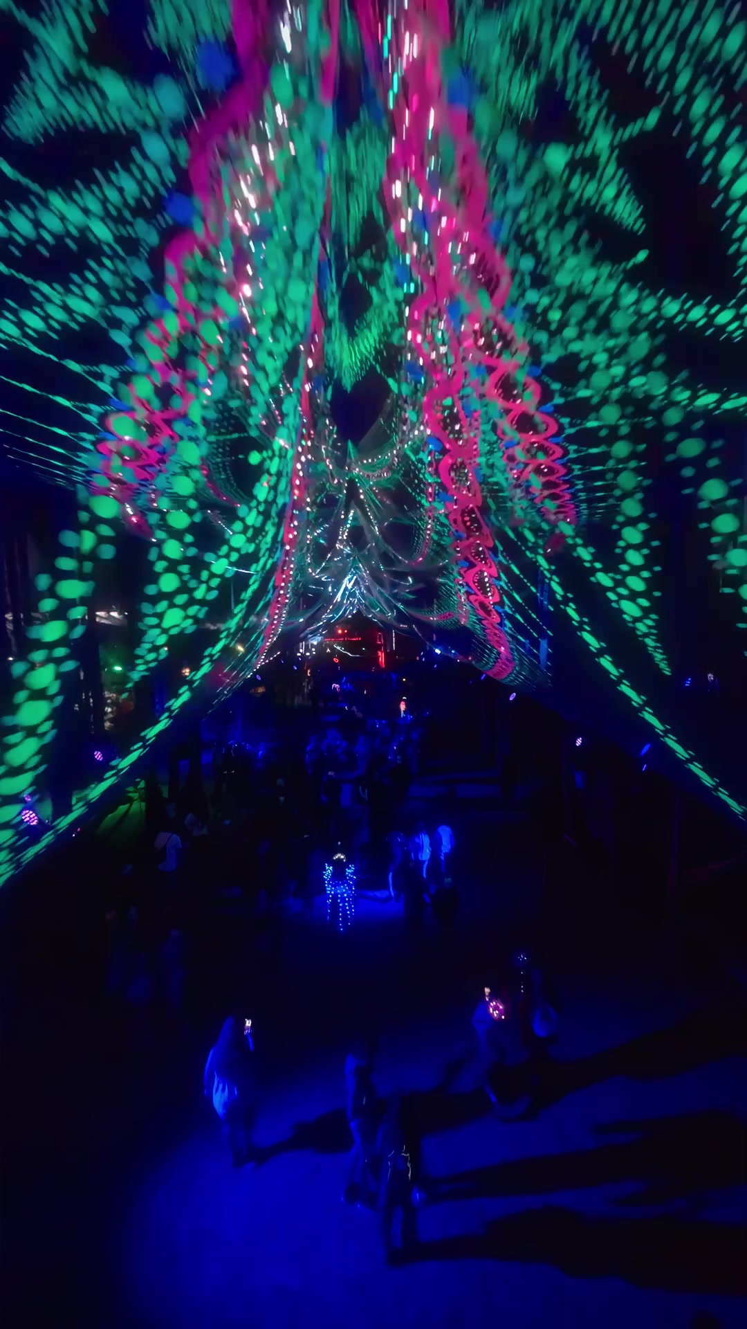 @Electric Forest