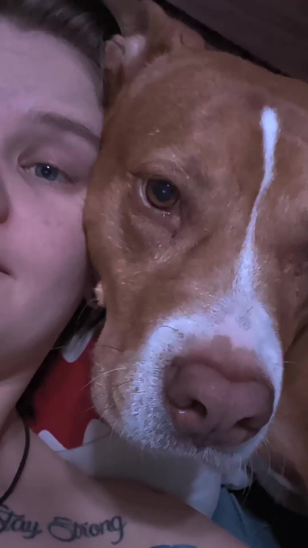 @smol_bean