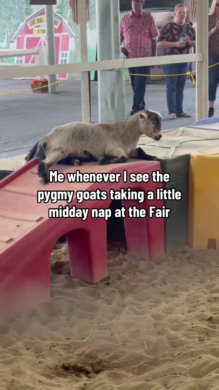 @Big Fresno Fair