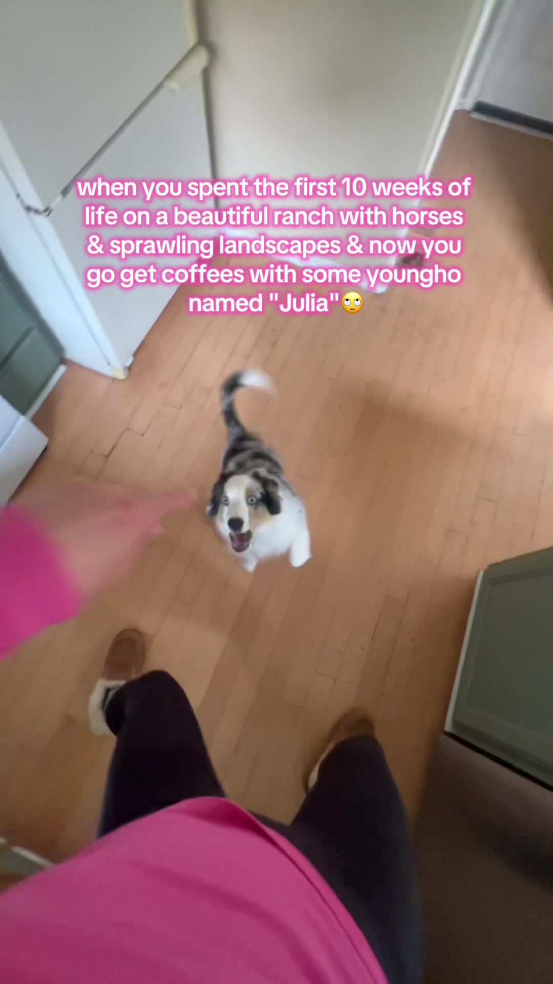 @julia❦⋆