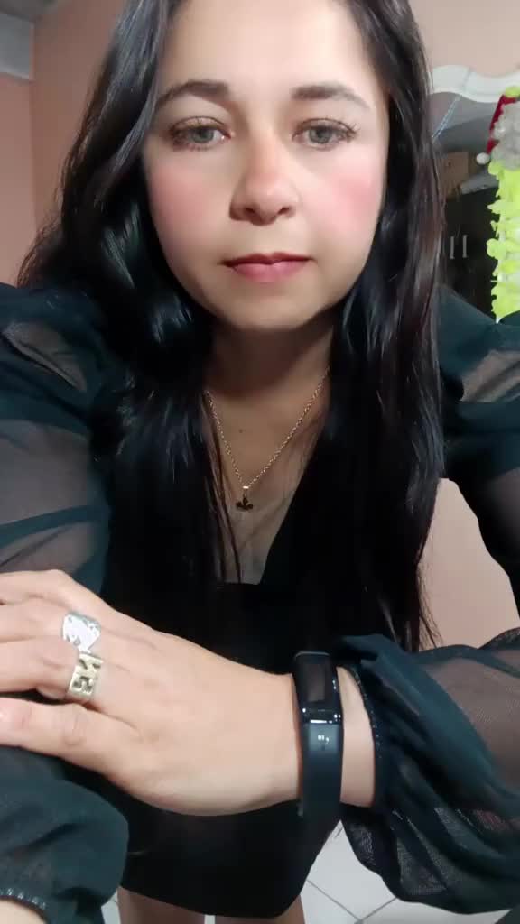@lizzet Fernández