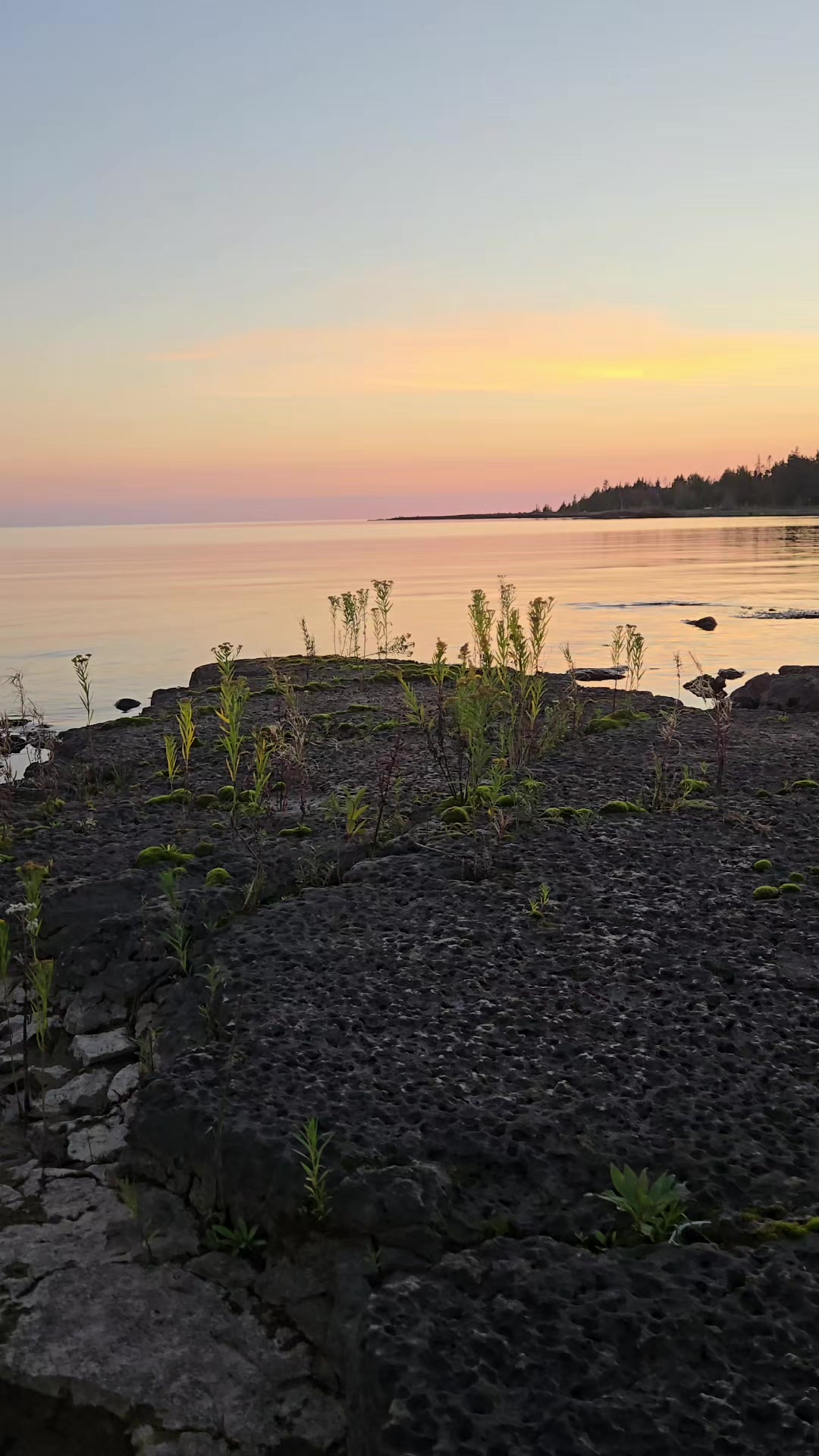 @🇨🇦BELOVE✨️FAE✨️❌️
