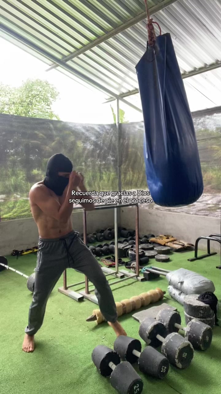 @TINO_FITNESS🔱