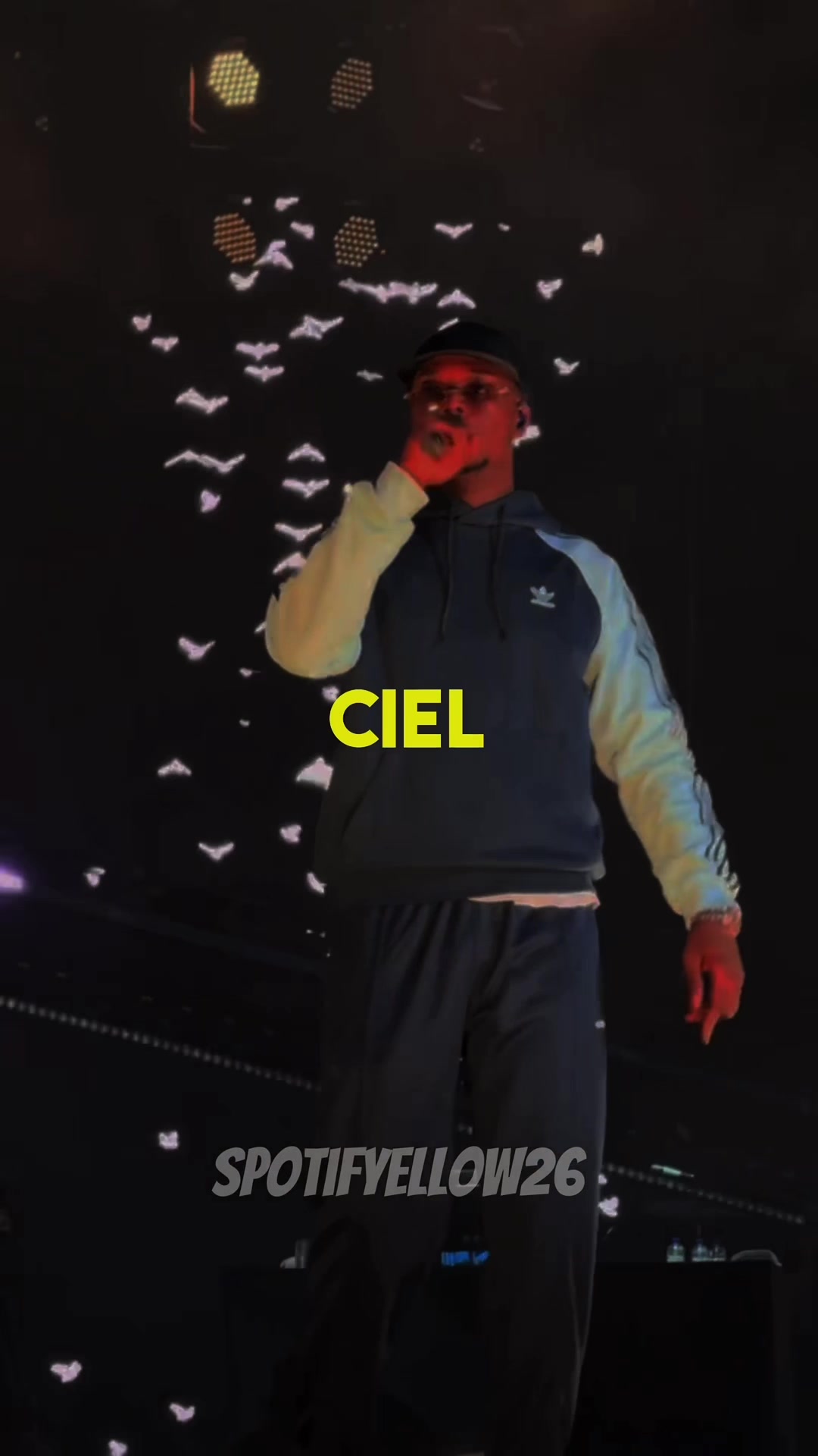 @spotifyellow