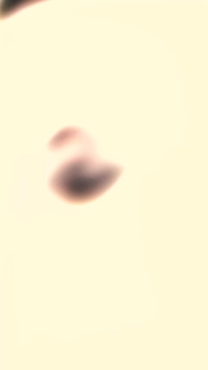 @ᴹʳ_ᴶᵃᴰⁱ