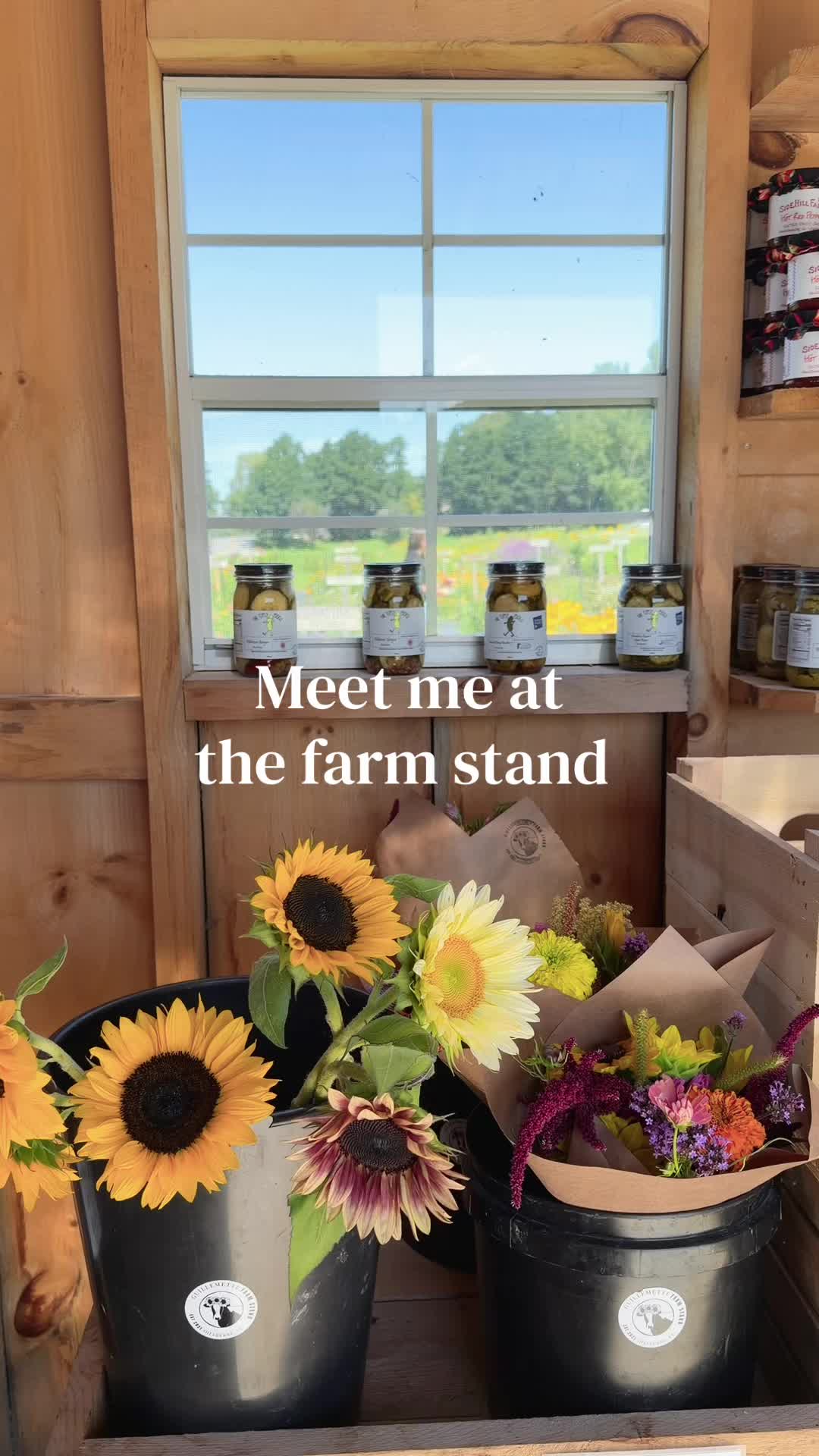 @TheJulieEdit