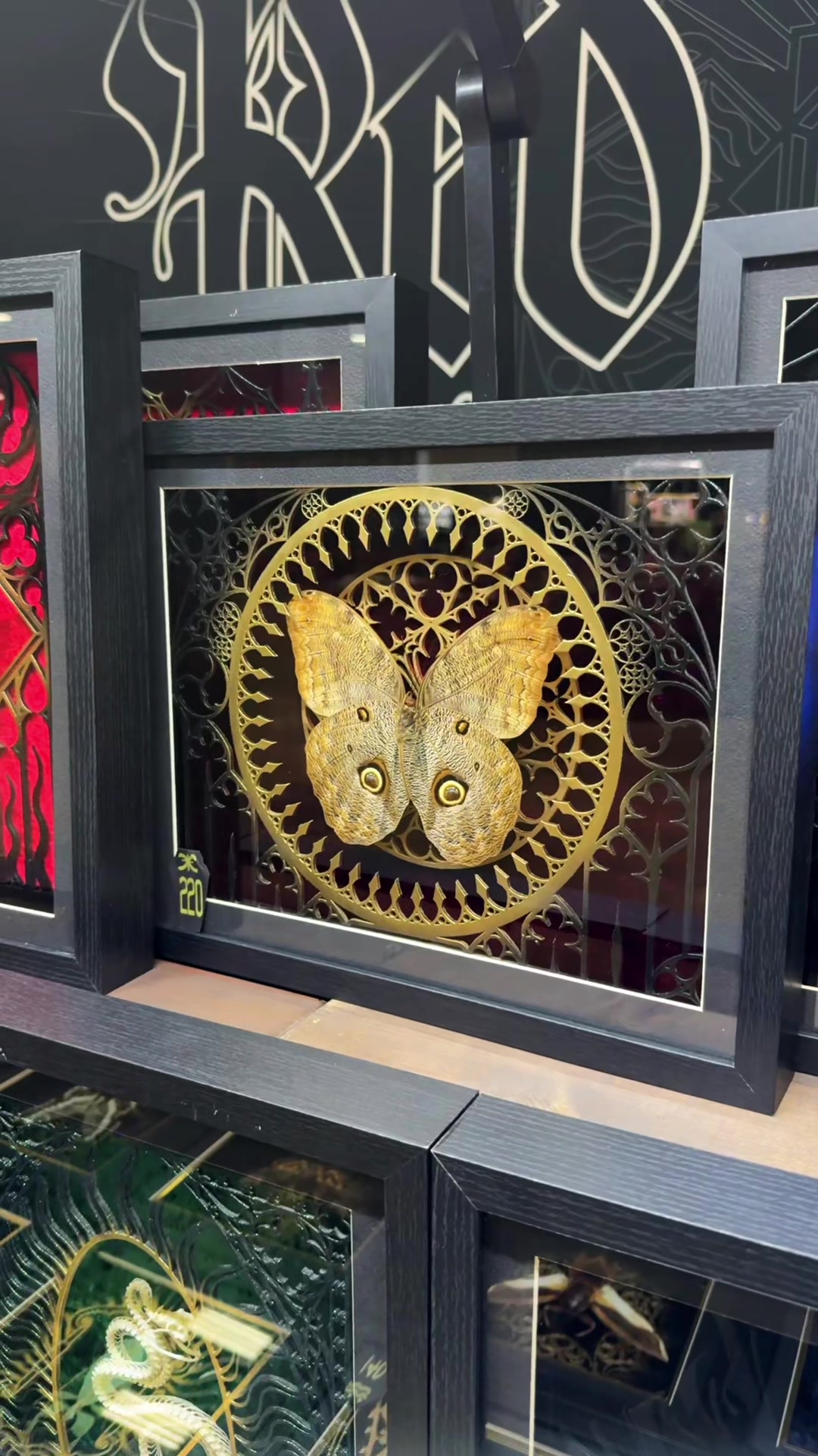 @Oddities & Curiosities Expo