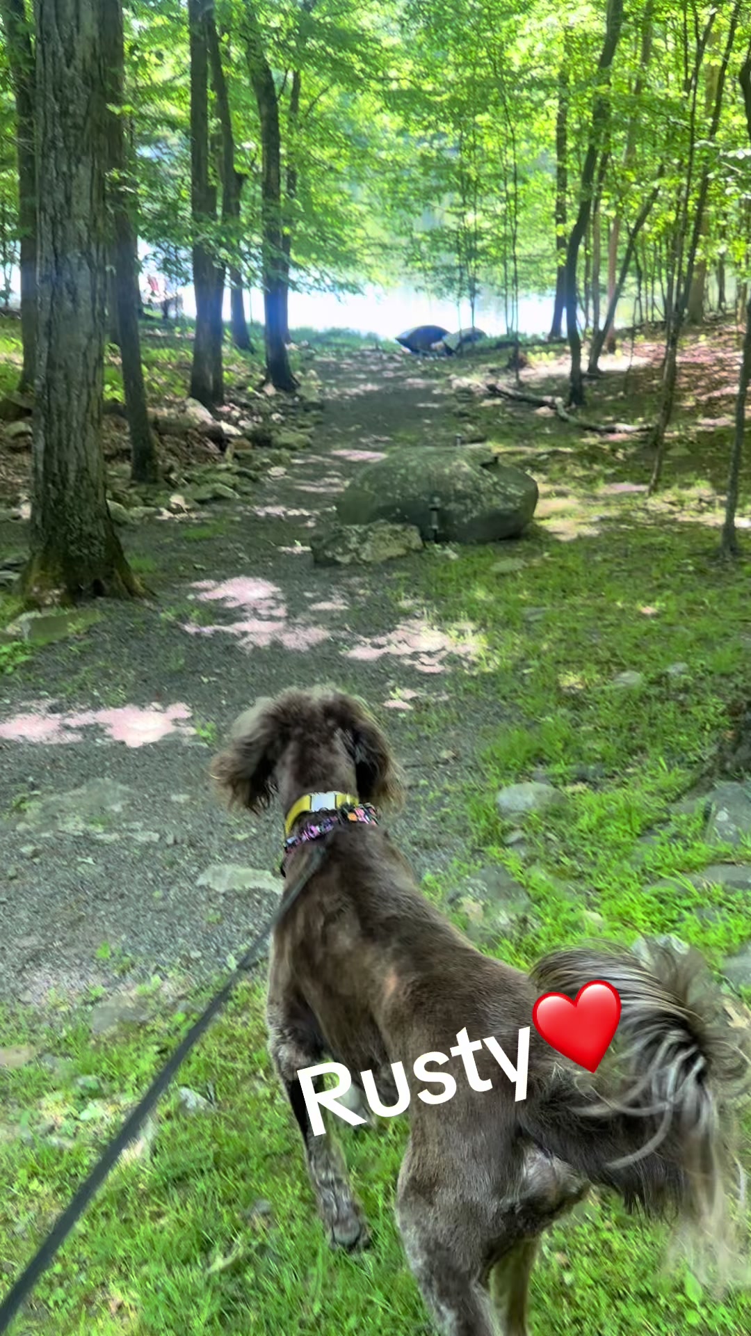 @💜❌Happytails❌💜