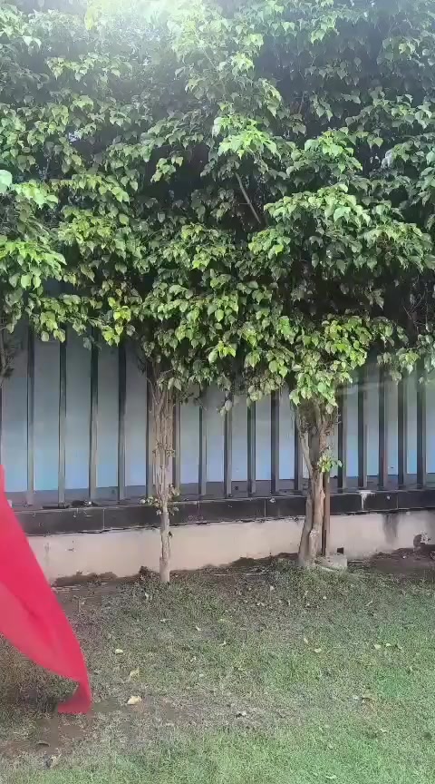 @Devi Karki
