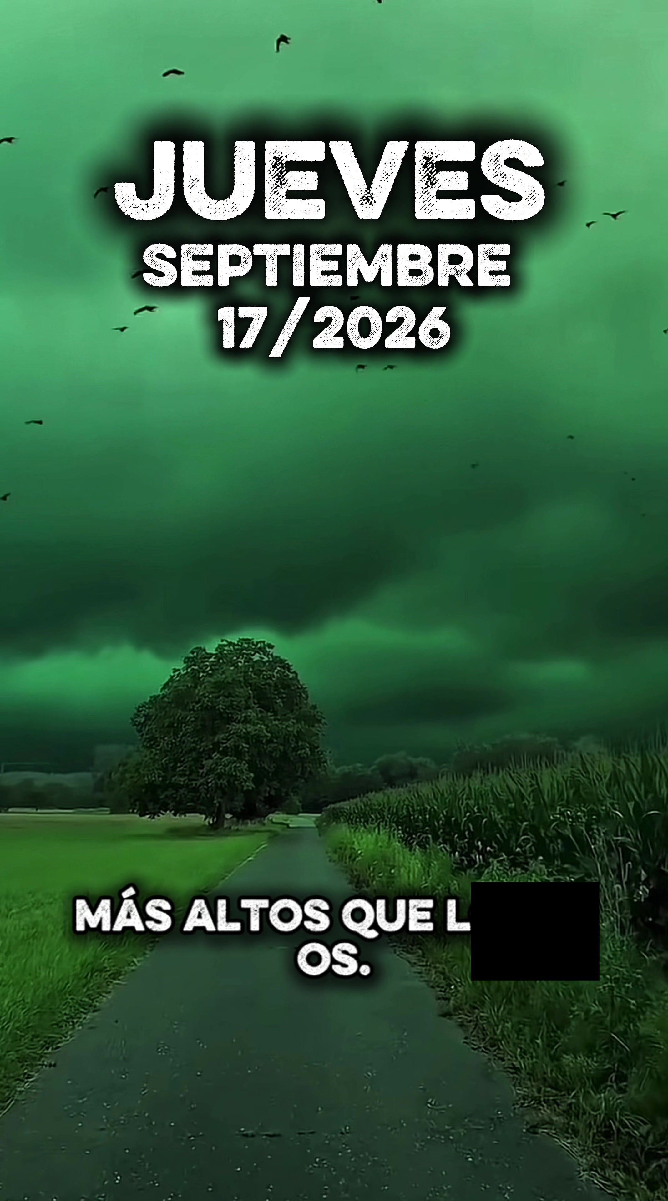 @Música del Cielo