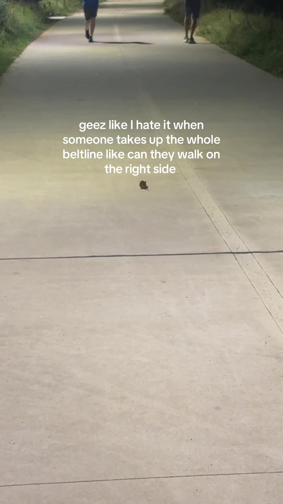 @mo!
