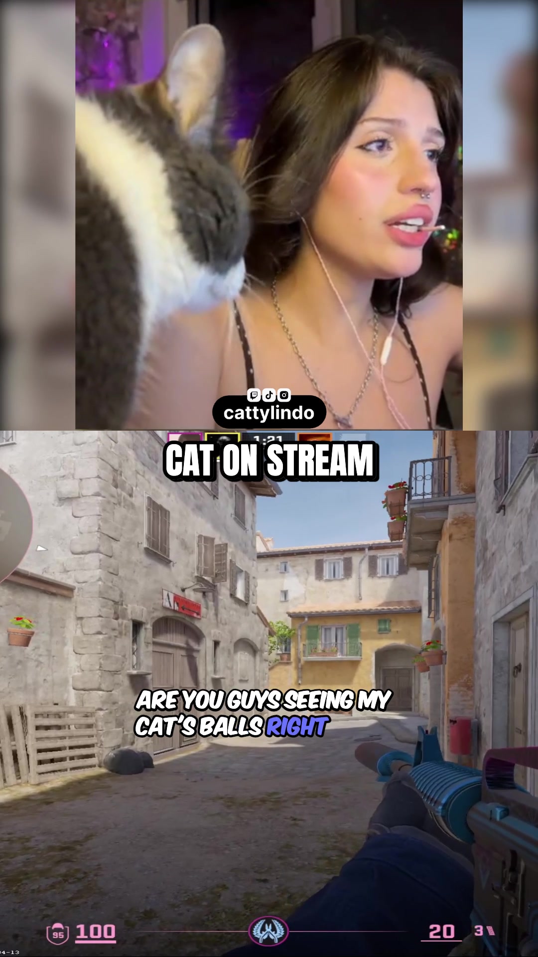 @cat ♡