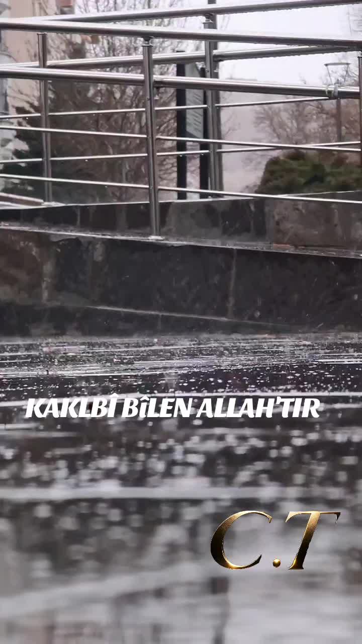 @kalptenkalbedua