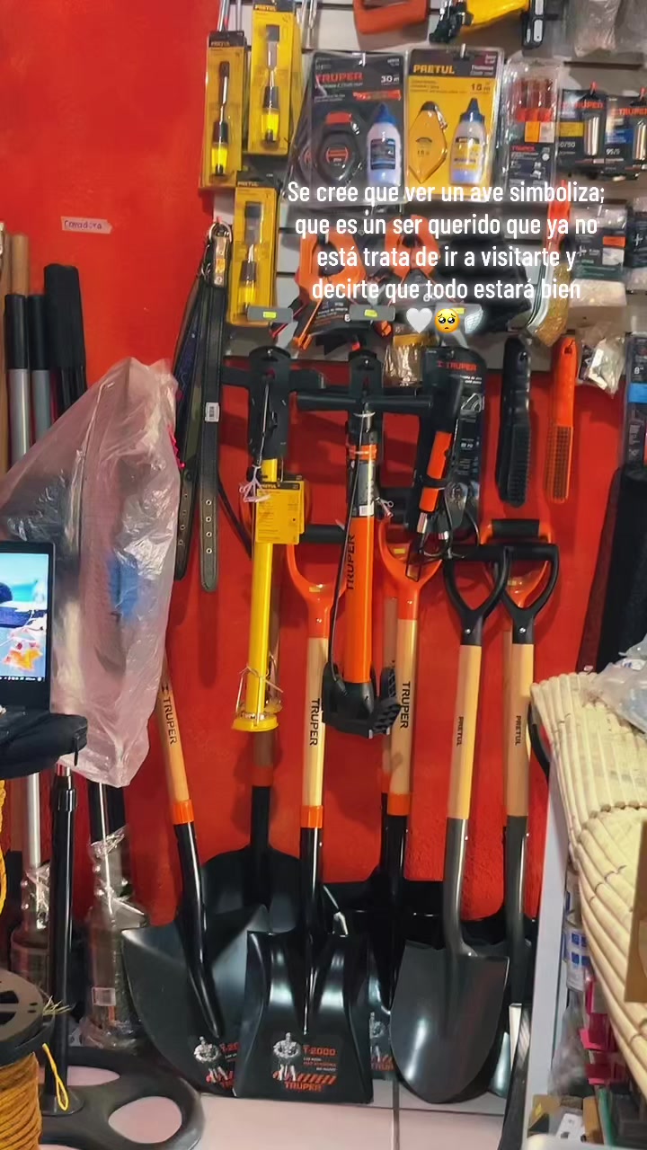 @Nayeli🚀