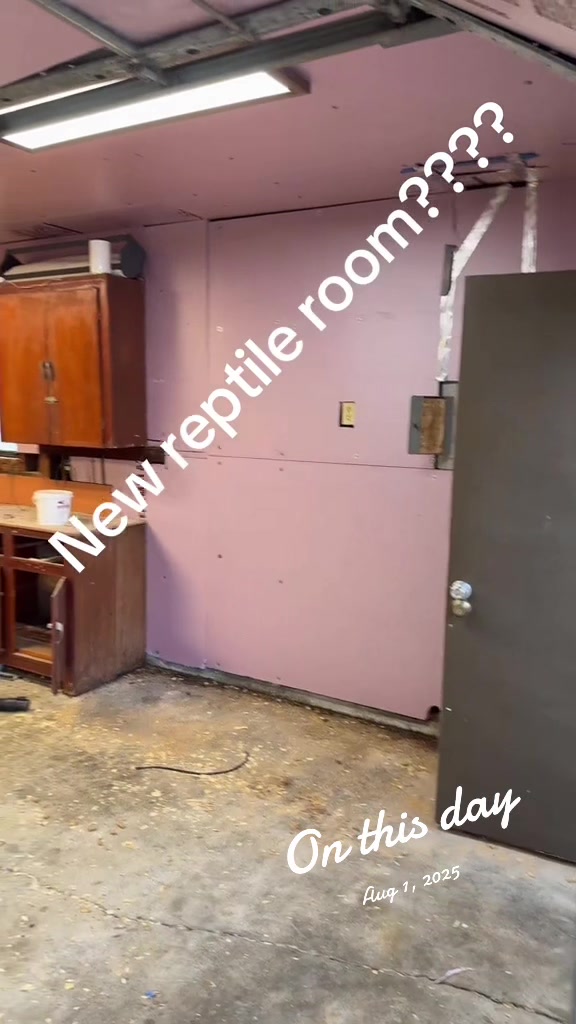 @XtremeSerpentines