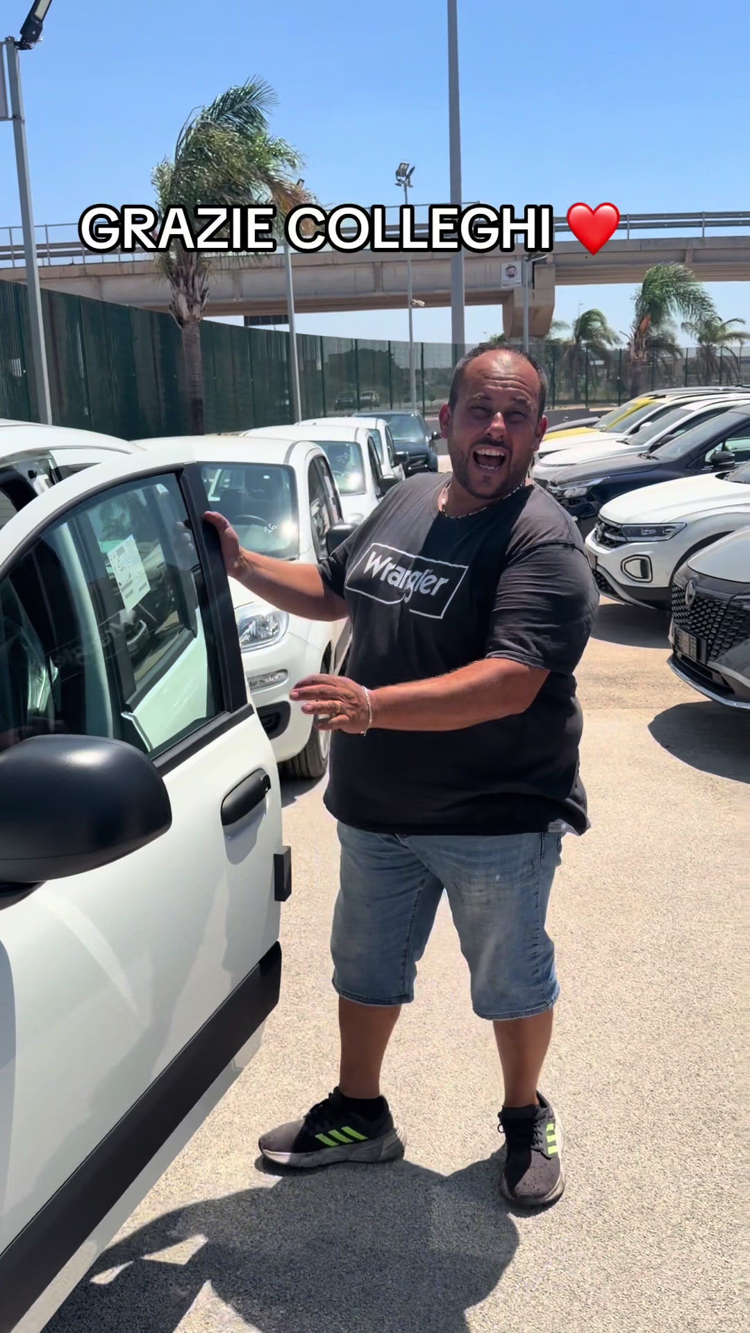 @Fabrizio Car