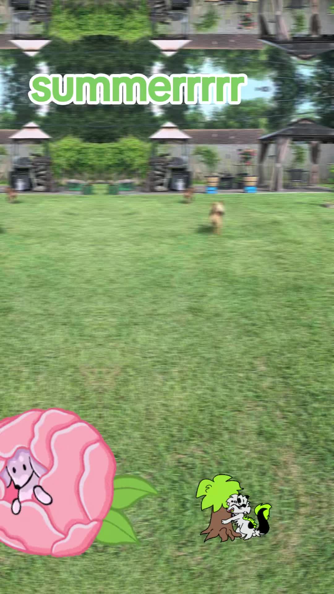 @Jplay