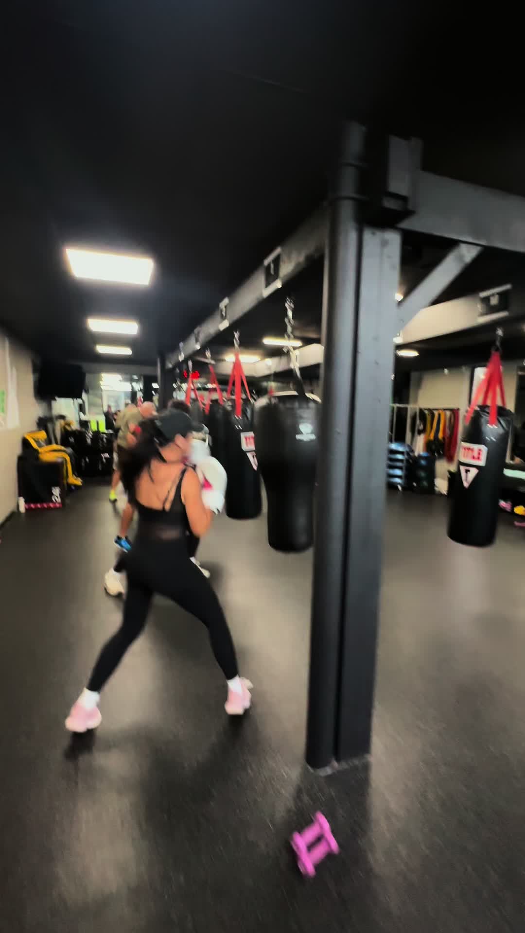 @Freddylive Fitness